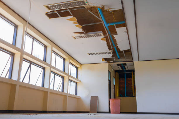 Best Flooded house restoration  in Fort Myers Beach, FL