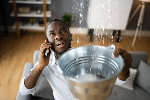 Best Local water damage restoration  in Fort Myers Beach, FL