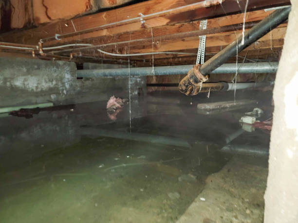 Best Water damage restoration near me  in Fort Myers Beach, FL