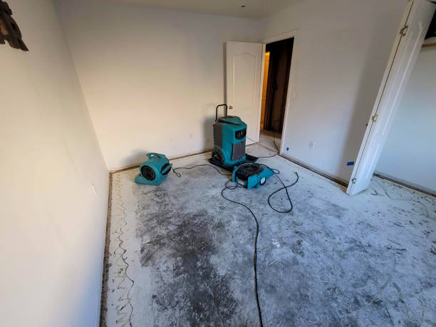 Best Flood damage cleanup  in Fort Myers Beach, FL