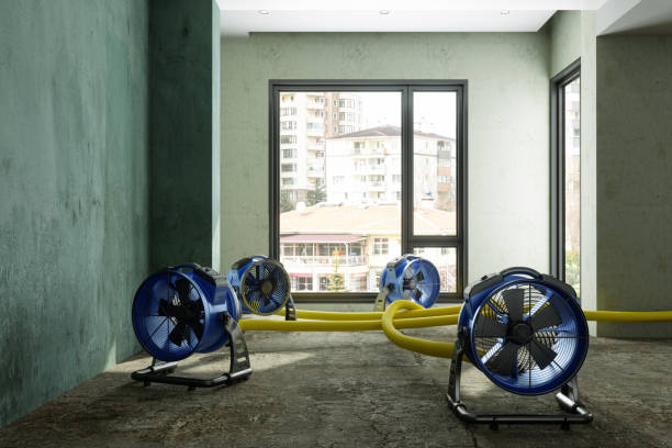 Best 24/7 water damage repair  in Fort Myers Beach, FL