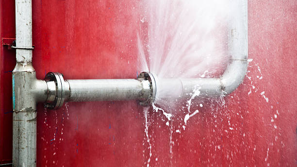Best Flooded house restoration  in Fort Myers Beach, FL